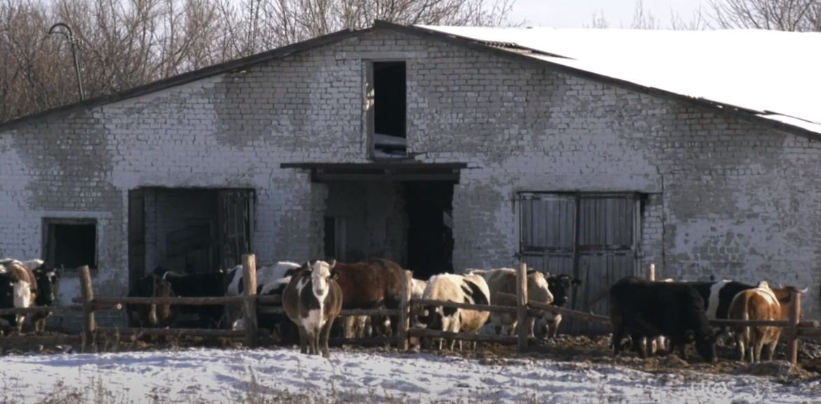 В Правительстве Воронежской области обсудили новый закон «О побочных продуктах животноводства»