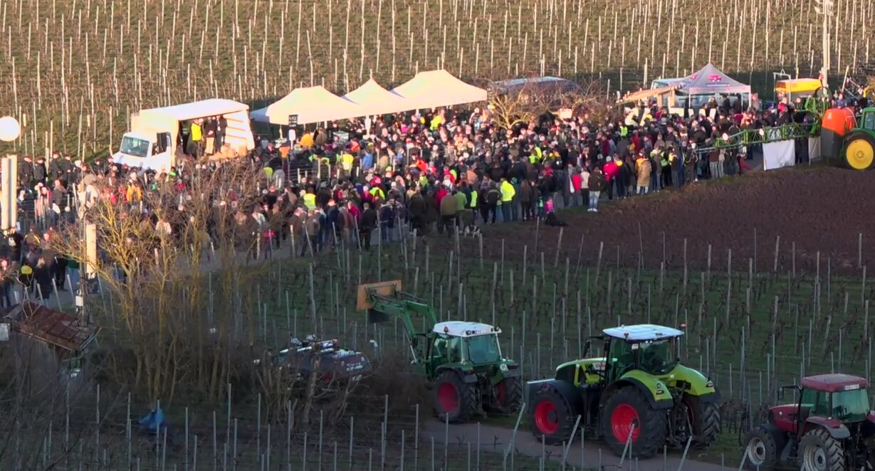 «Нам нужны справедливые цены». В немецком Михаэльсберге фермеры митингуют против сельскохозяйственной политики правительства