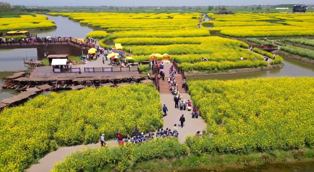 Луг рапса золотого. Цветущие поля на востоке Китая сняли с высоты птичьего полета