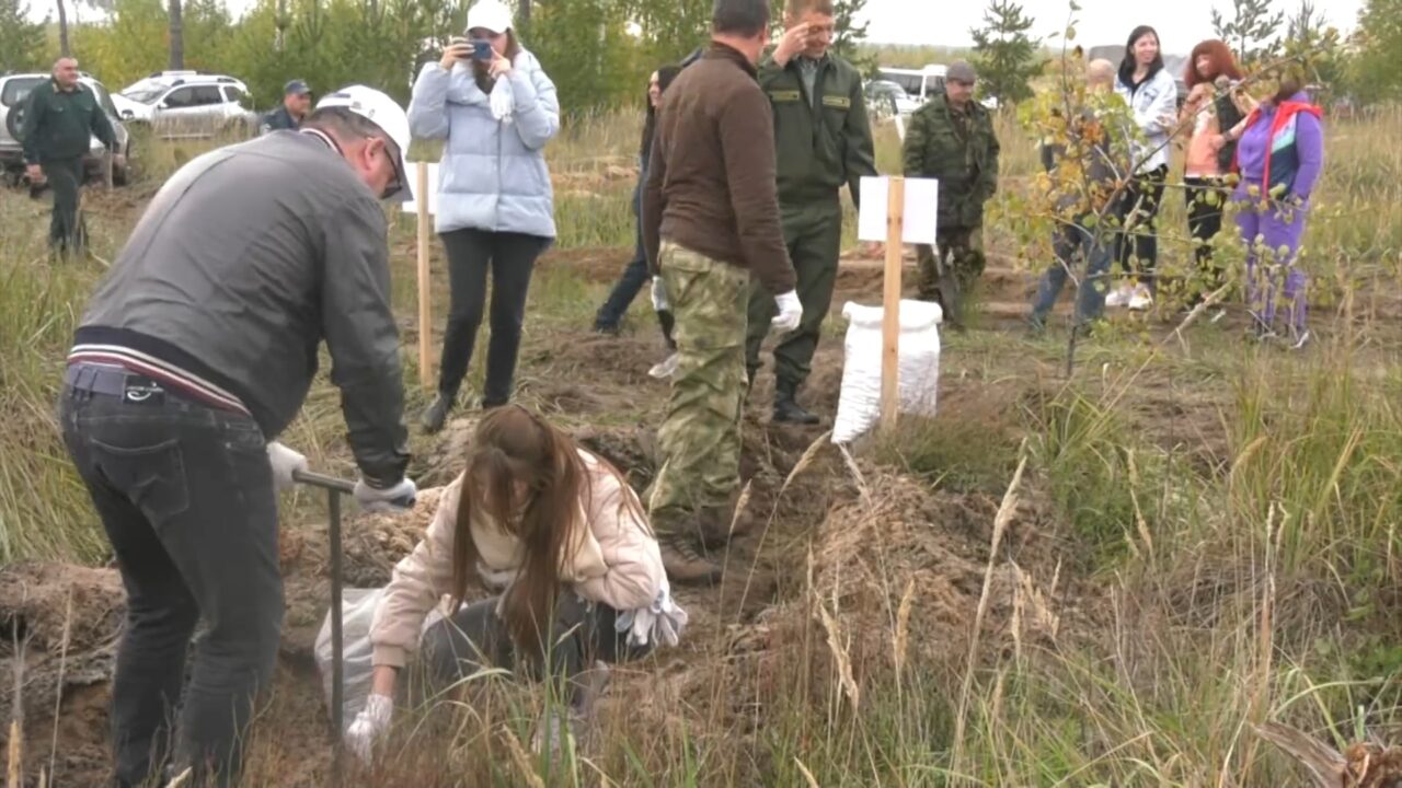 На Кожевенном кордоне посадили 25 000 новых деревьев